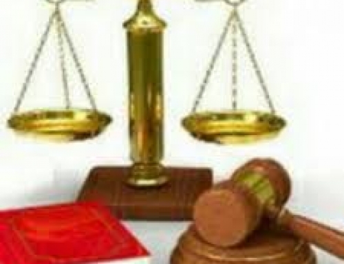 صدور حکم  قتل عمد برای محمد علی نجفی